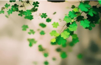 描述雨水节气的经典祝福语