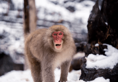 关于2022年4月4日清明节的说说