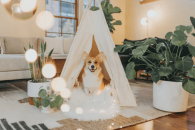 小寒说说车、小寒过后大寒连，岁月