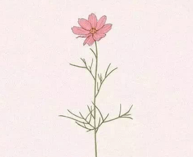 白色情人节祝福句子--春天已来到，春光肆意