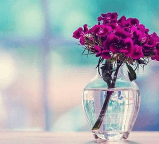 三八女生节公司祝福语