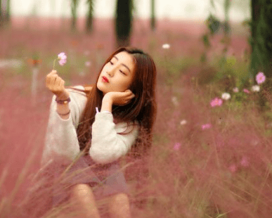 春分节气祝福短语