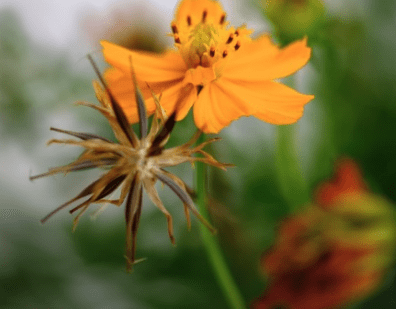 5月20日晒朋友圈的搞笑说说