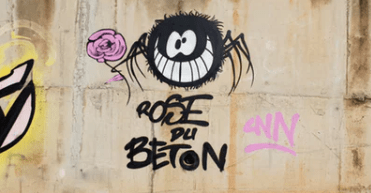 最新2022二月二龙抬头文案微信说说