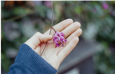 腊八节的微信说说 腊八节祝福语短视频