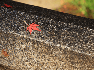 幼师春分祝福语