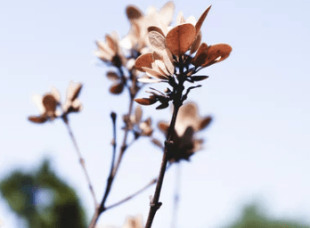 令人心碎的唯美语句、会相逢的就像山川河流