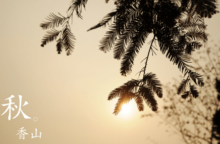 愚人节值得发的说说 今天是愚人节，我成功