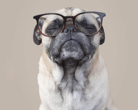 愚人节适合发的浪漫说说