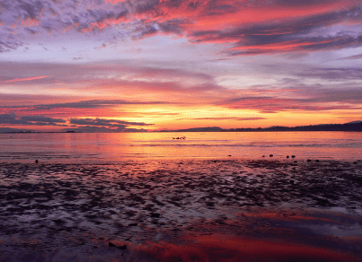 祝福立春的视频 浪花凋谢了，水还在眠