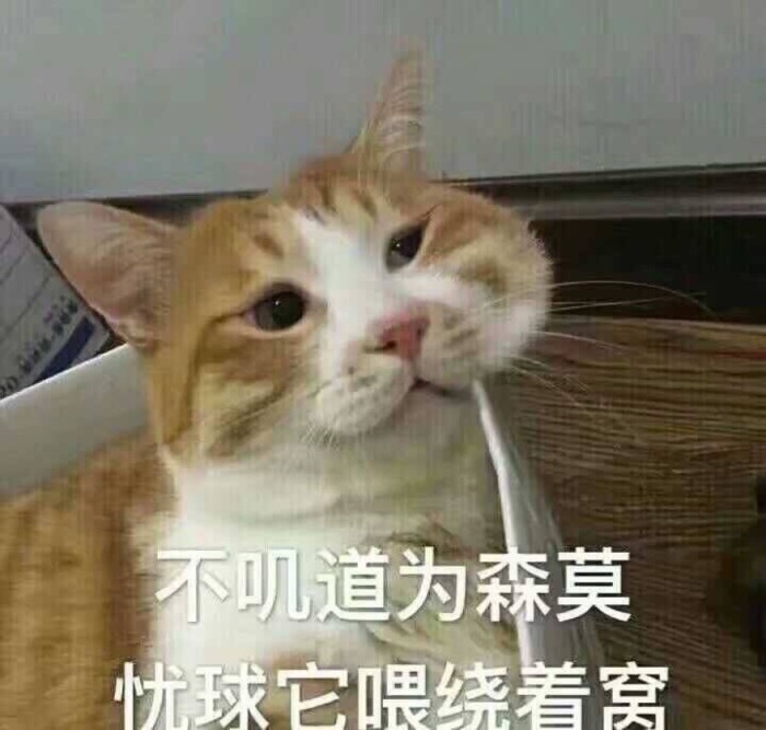 关于七夕恋爱的爱情说说