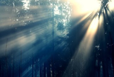 求女生节祝福语要文艺一点