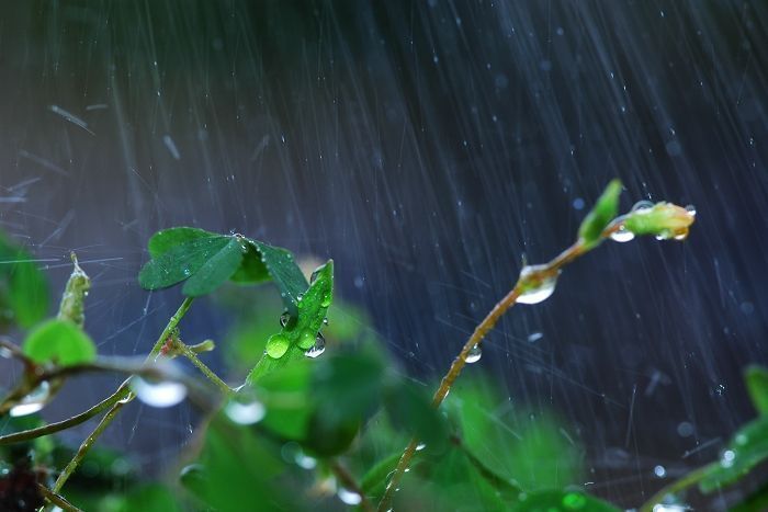 圣诞节表白情话2021最新--“话痨的原因还不是因