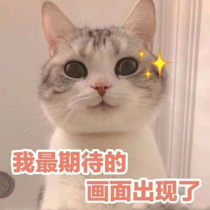 元旦对同学说的祝福语高中