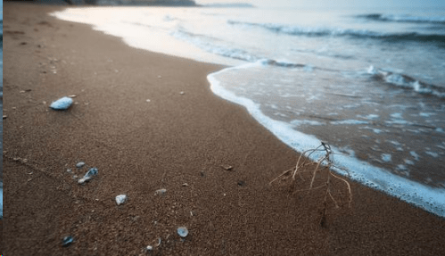 复活节和客户发祝福