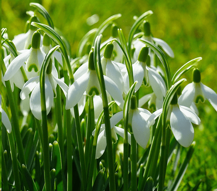 个性网名女生霸气合集