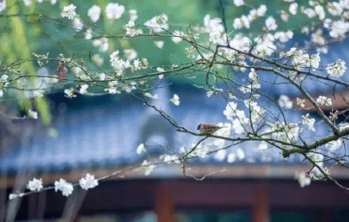 简短洋气的英文小名女、那①尅遗莣