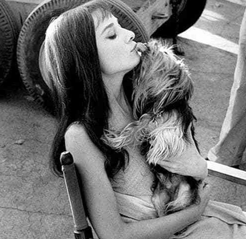 超好听超仙气超甜的女生网名精选