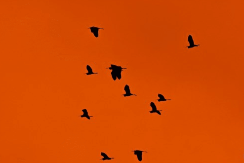 适合所有人的网名、天天向上