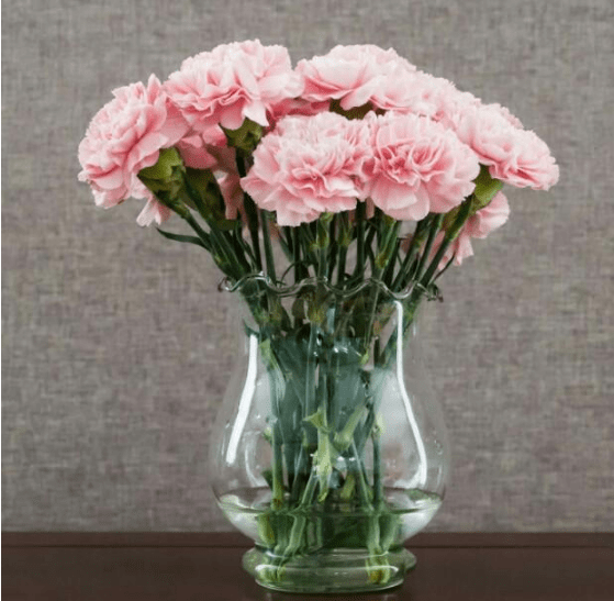 很火很热门的气质个性昵称