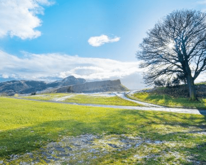 适合30岁以上女人的网名