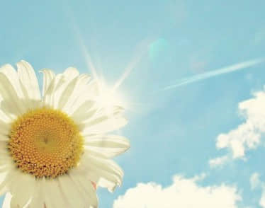 2021可爱网名--有空多爱自己