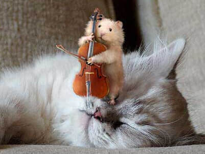 自由天使的网名_满天星星