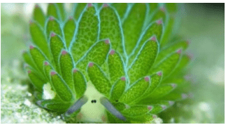 2020最潮游戏名字