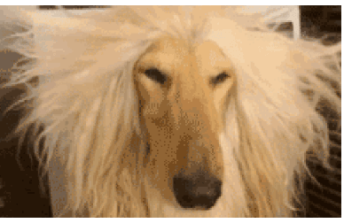 简单霸气的游戏名字