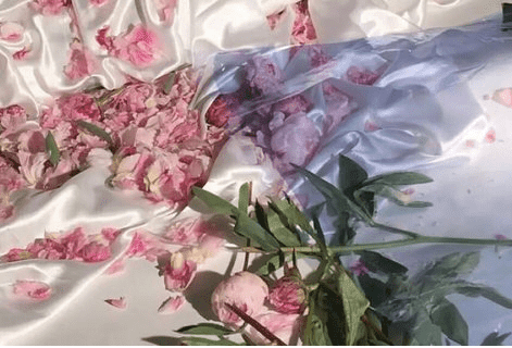 感性有魅力的网名女汇总