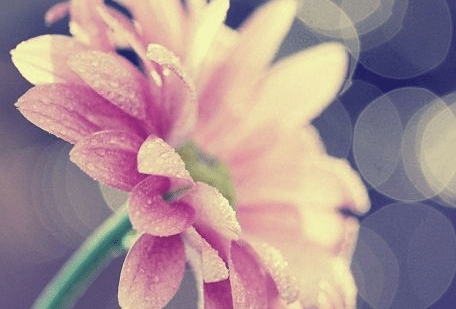 2017霸气情侣网名