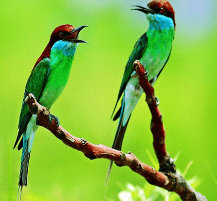 女孩高冷到爆的名字2个字