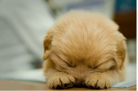 2020最潮网名英文、*夜以笙歌*