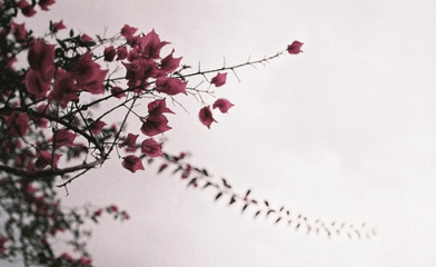 2021年流行微信网名_╰→尐儍苽ㄣ