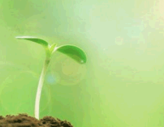 繁体字网名大全2022最新--小暄暄&deg;&r