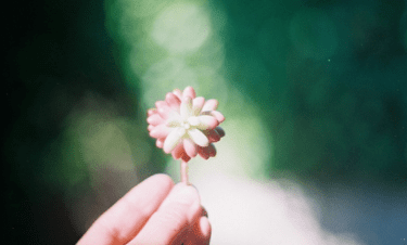 带名字的游戏名