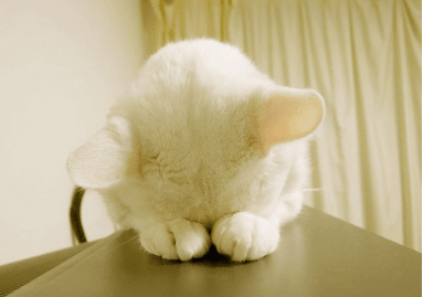 2021最伤心的网名--指尖逝去青春