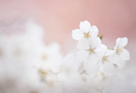 高端洋气的网名2021独一无二_梦守旧人