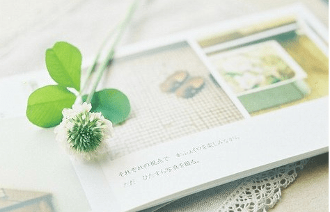 能让人瞬间记住的网名