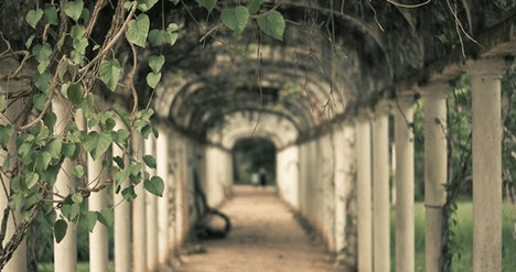 森系小清新女生文艺个性网名推荐 当真喜欢