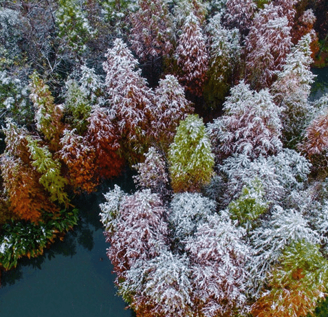 qq个性情侣伤感唯美网名2021精选