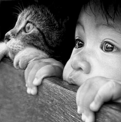 伤心透了的网名痛彻心扉 ↖风羽☆如翼↙