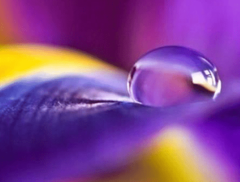 开朗可爱的网名、吃货认证がROY