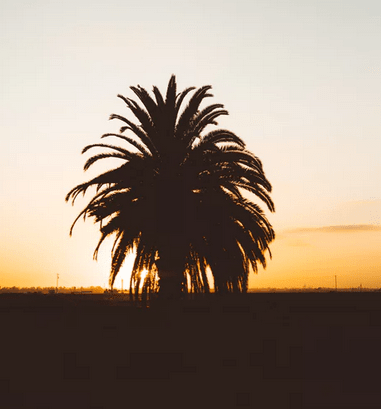 礼拜六个性网名--我是你的闺蜜