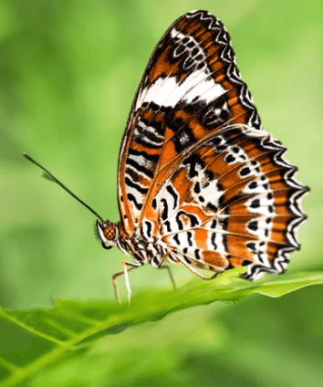 与佛有缘的女人微信名