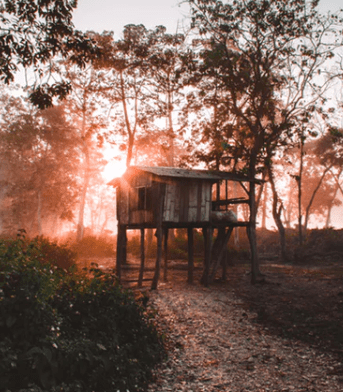 2021时尚网名_桑稚与夕阳