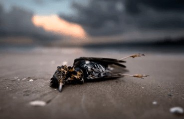 2023微信最新昵称