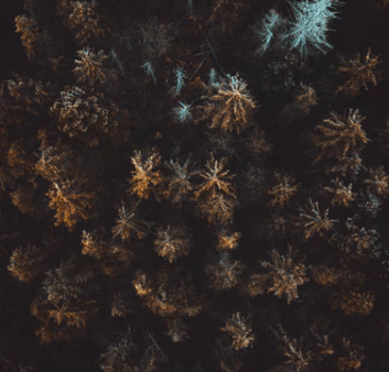 2021内涵又搞笑的网名大全独一无二