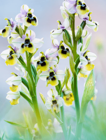 让人忍不住心动的酷拽昵称