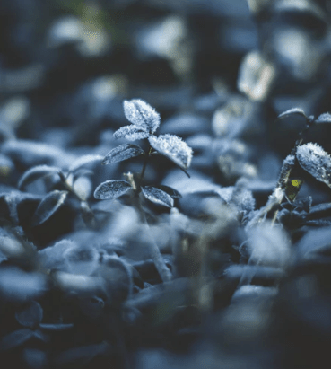 女生温柔古风网名精选